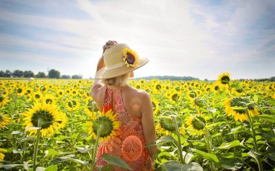 Marijuana Cannabis: Sativa