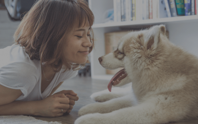 Neuropathic Pain, Neuropathy, and The Value of Adding Cannabis and THC