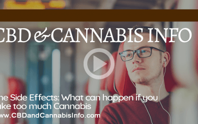 The Side Effects: What Can Happen if You Take Too Much Cannabis