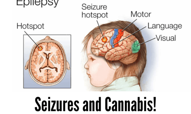 Dravet Syndrome Seizures and Cannabis!*