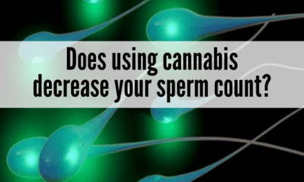 Does using cannabis decrease your sperm count?*