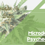 Microdosing Psychedelics: Psychedelics In The Brain