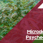 Microdosing Psychedelics: What’s Going to Happen to Me